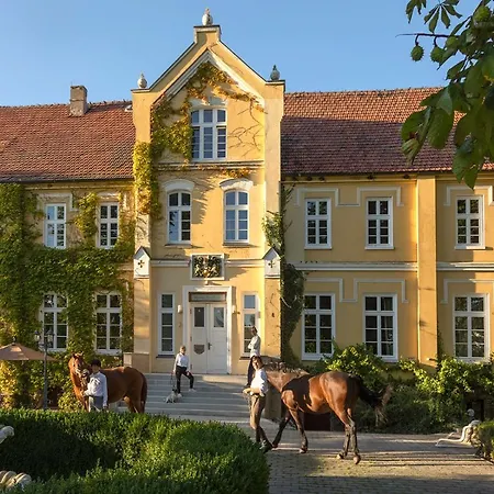 Apartment Neu Möbliertes 1 - Zimmerapartment Mitten In Der