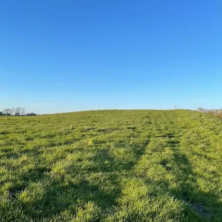 Neu Möbliertes 1 - Zimmerapartment Mitten In Der *