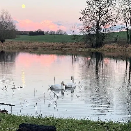 Neu Möbliertes 1 - Zimmerapartment Mitten In Der Apartment *