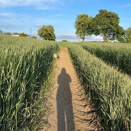 Neu Möbliertes 1 - Zimmerapartment Mitten In Der Apartment