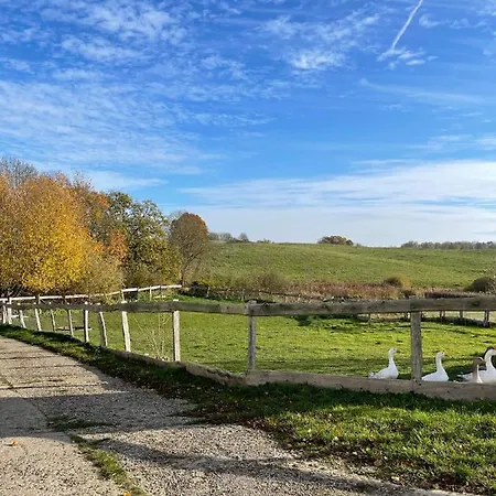 Neu Möbliertes 1 - Zimmerapartment Mitten In Der Apartment Neu Gaarz